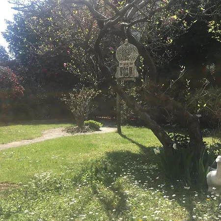 Guest house La Pallanzotta Verbania